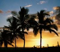 Beautiful Hawaii